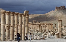IS lại hành quyết người tại Palmyra 